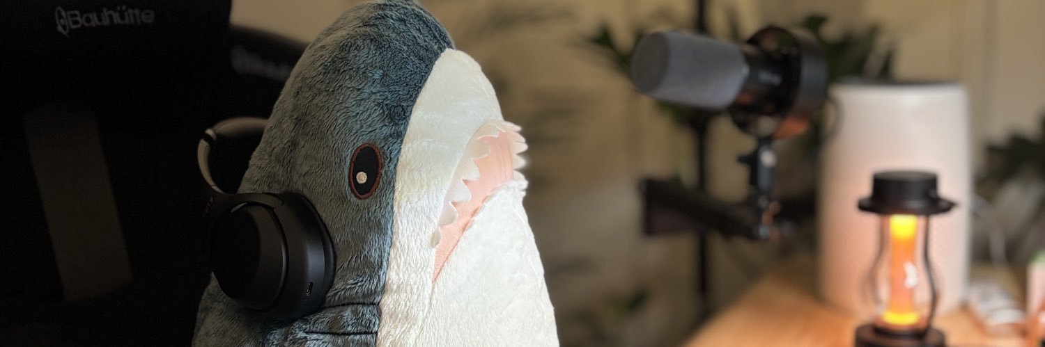 reqReason's profile banner image