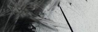 bkq_1's profile banner image