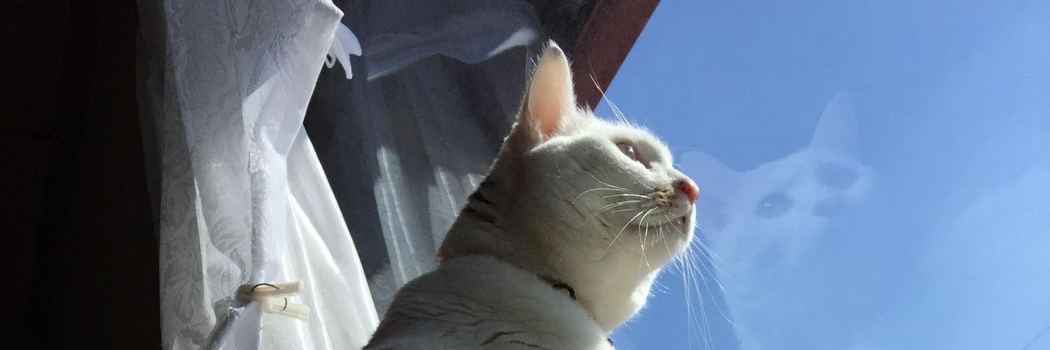 neno715's profile banner image