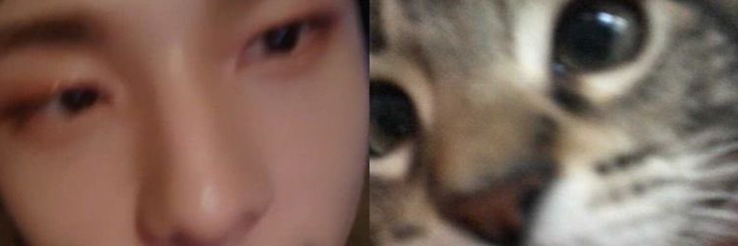 hyunjin as cats Profile Banner