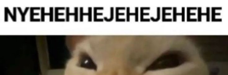 🐠 banner