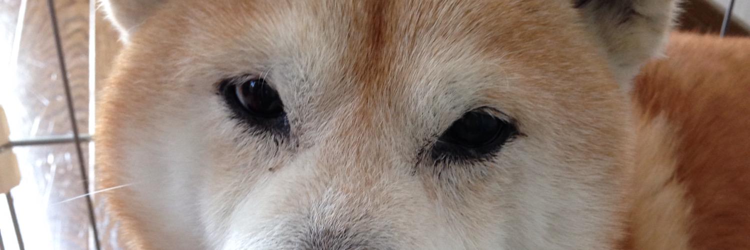 rie_wtb's profile banner image