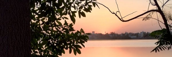 Rohitpa43613501 Profile Banner