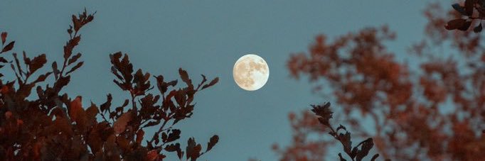 emile_kamuntu's profile banner image