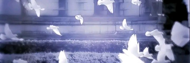 ZxcIpang's profile banner image