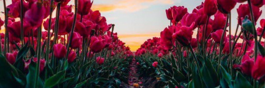 السمو ..🪞🌷 banner