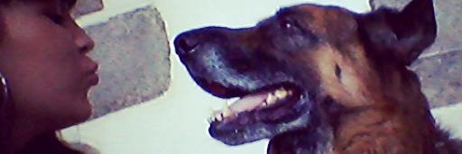 leiresahuillo's profile banner image