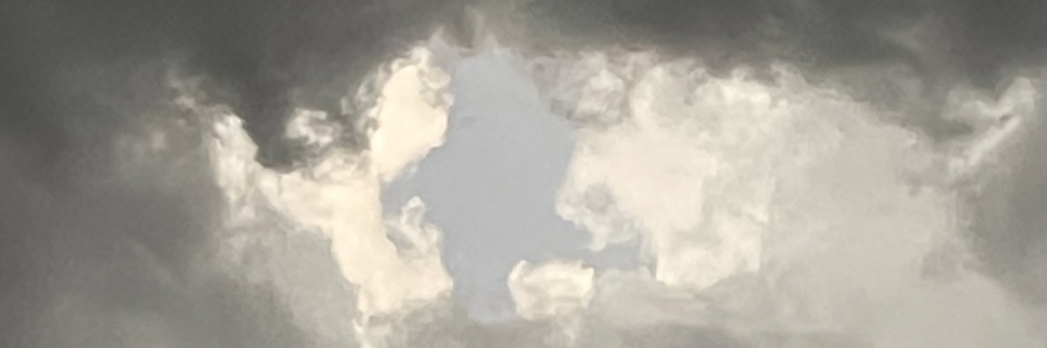 Biryanish's profile banner image