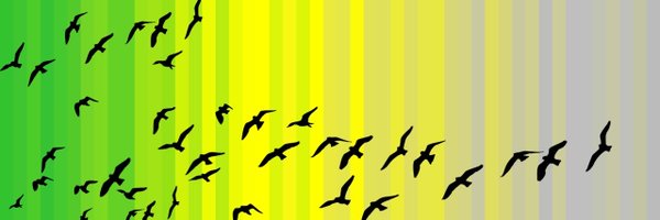 clarepandrews Profile Banner