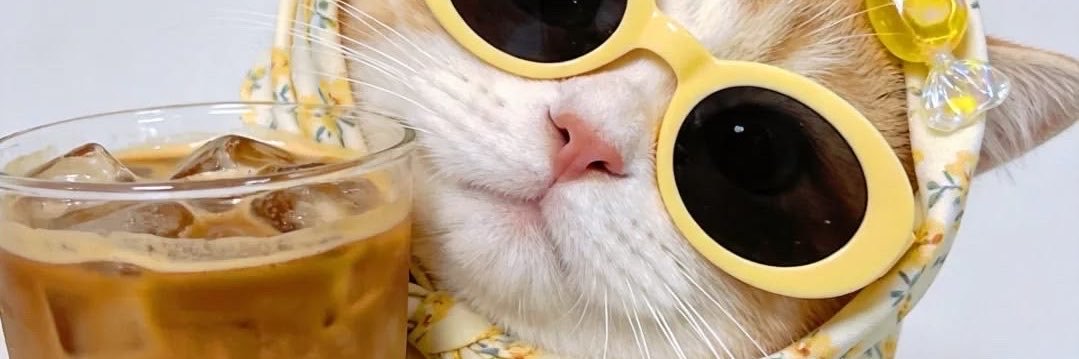 Cansuuok's profile banner image