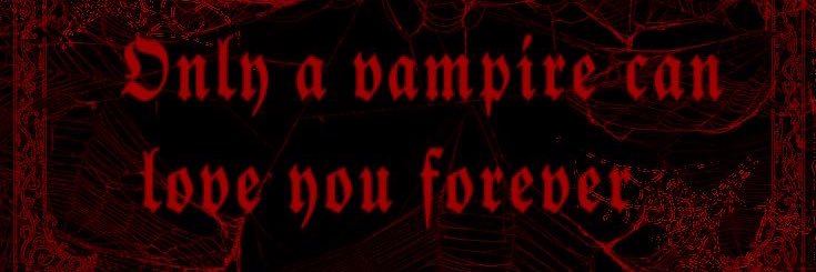 BloodstainedBun's profile banner image