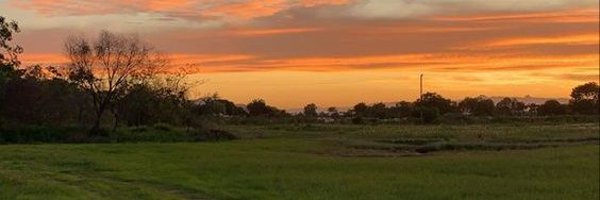 AnamRaja66 Profile Banner