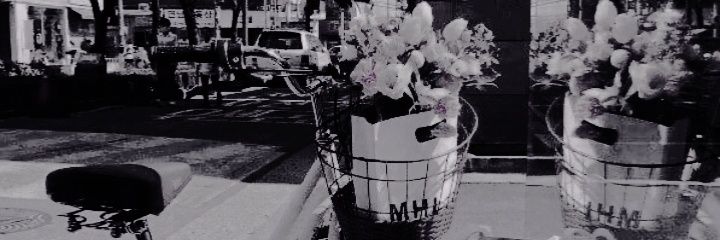✶ banner
