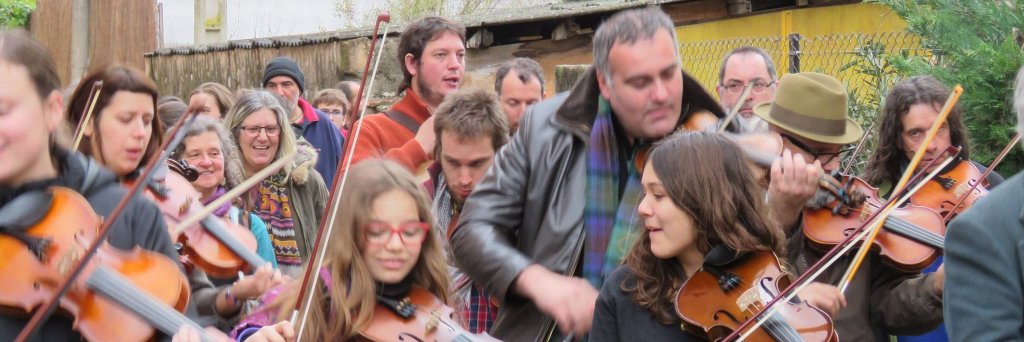 laviolinada's profile banner image