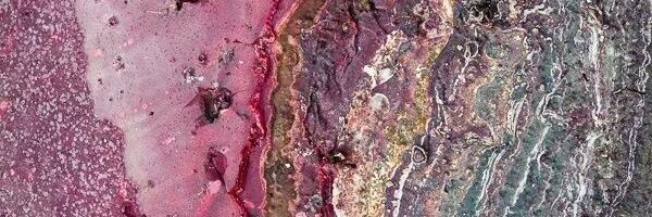 slumvilee's profile banner image