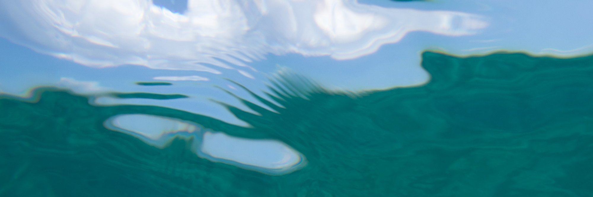 TheLocalVoid's profile banner image