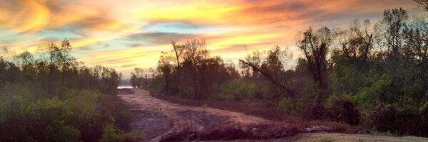 dhogwyn Profile Banner