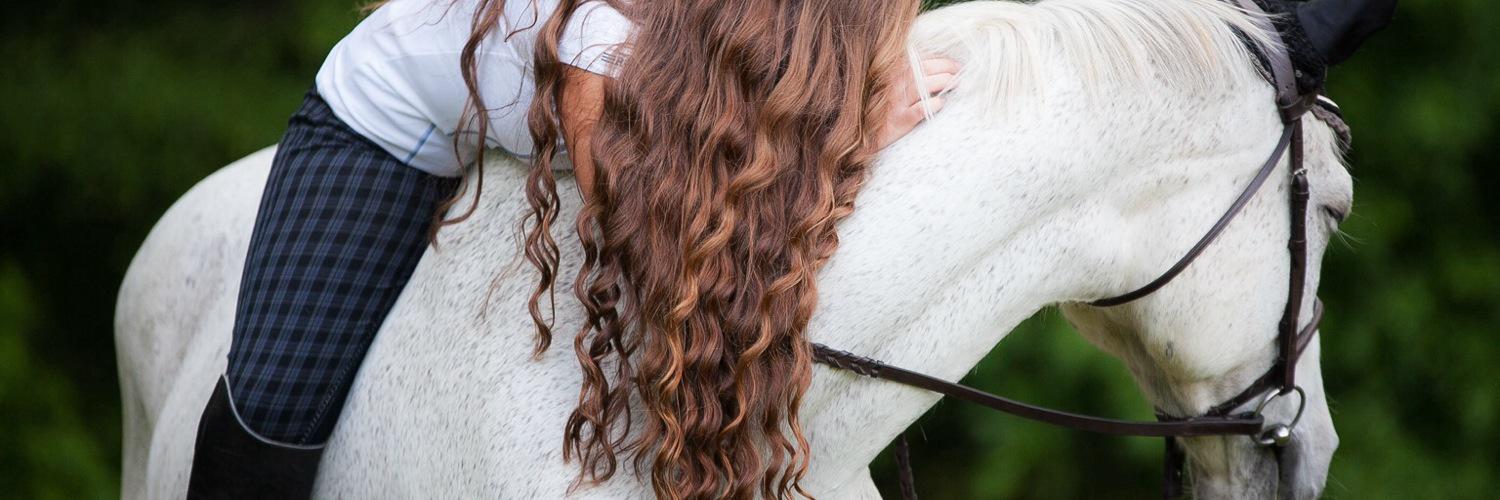 EquineLifeProbs's profile banner image