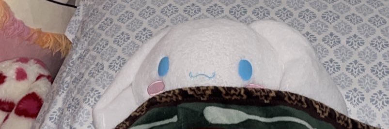 labruhdorite's profile banner image