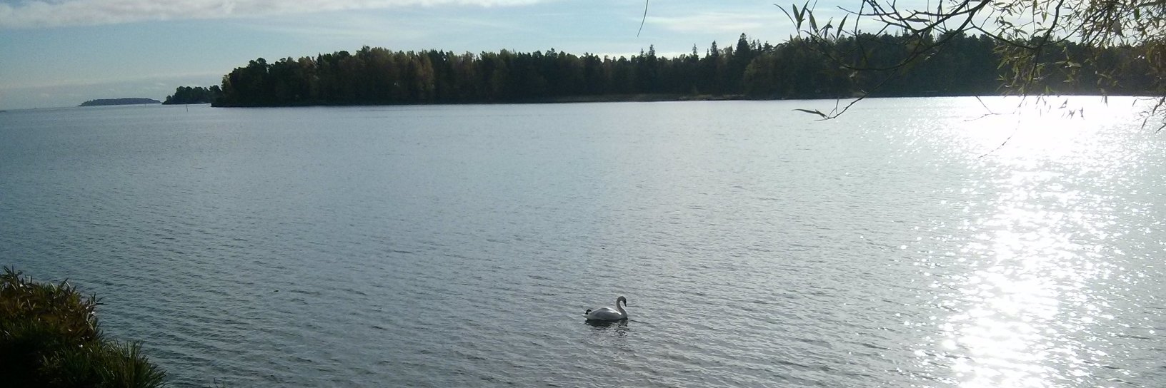 Federico L. (@nemobis@mamot.fr) banner