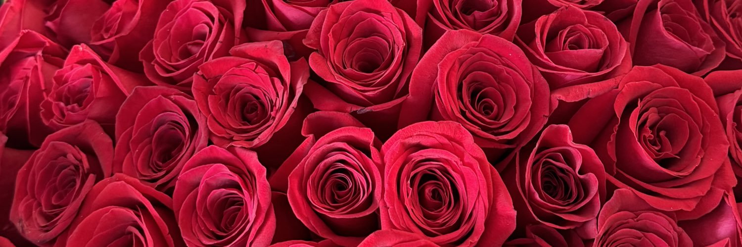 divadivyne's profile banner image