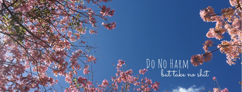 Alison_Jeanne's profile banner image