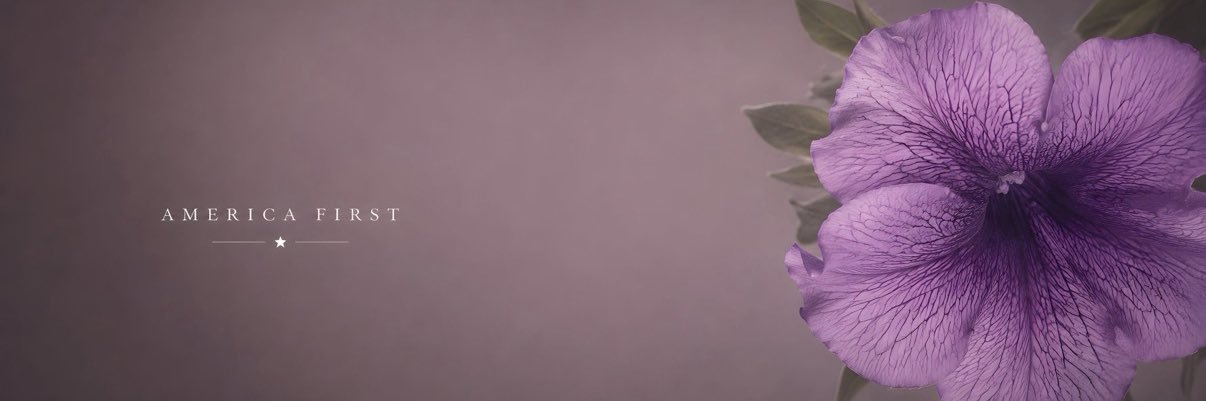 MrToad1488's profile banner image