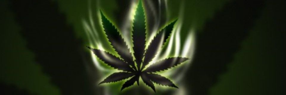 JodyPrivett2012's profile banner image