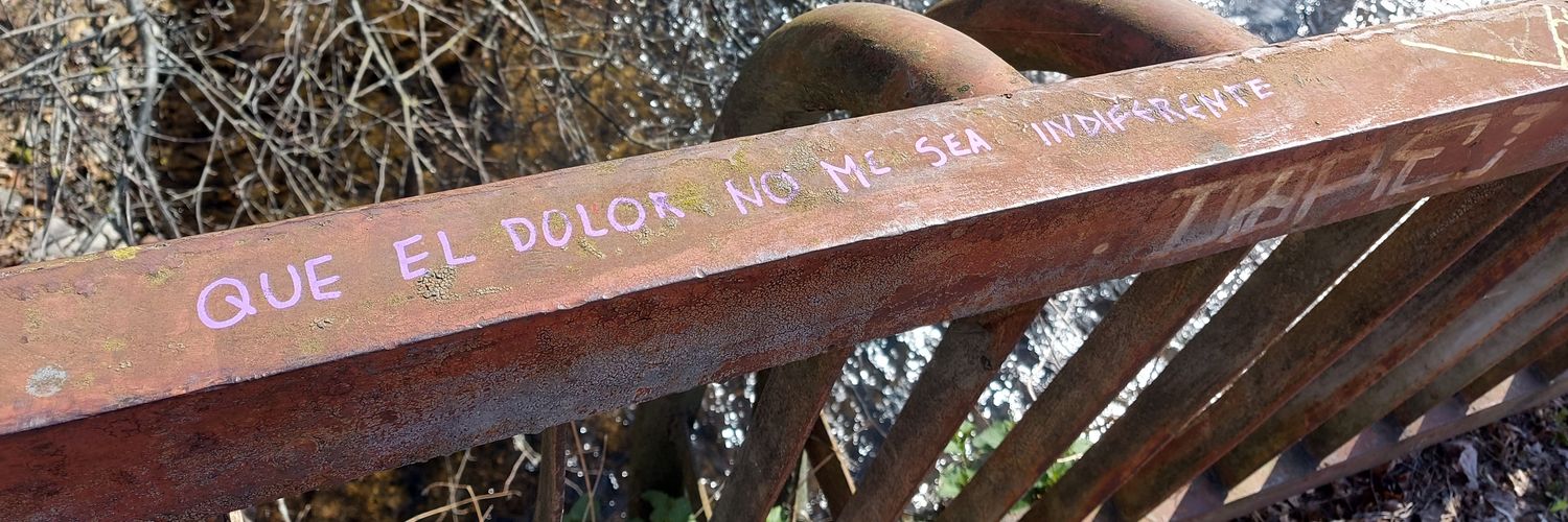 Yoel Schvartz banner