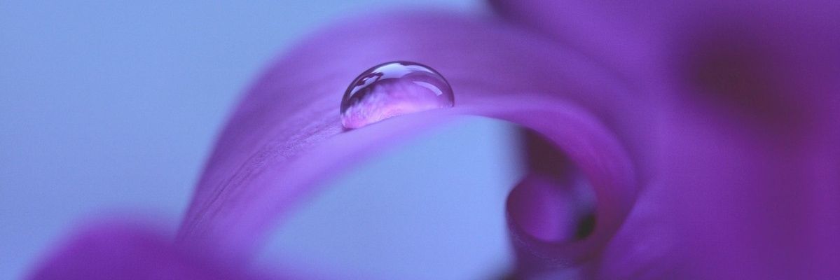 Lotusqueen_dnb's profile banner image