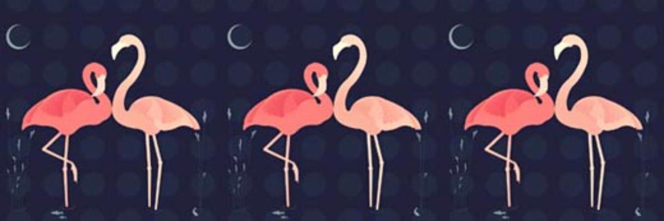 kendralula's profile banner image