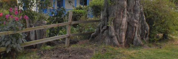ofravenwatch Profile Banner