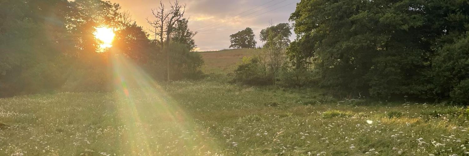 sikofficial's profile banner image