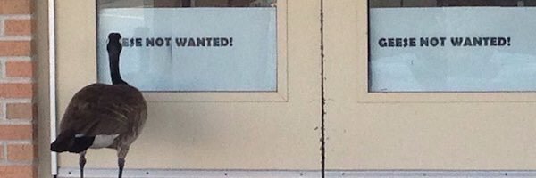 Alexkuster_4's profile banner image