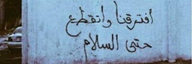 Saad Fathy banner