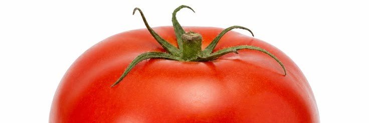 mnopef's profile banner image