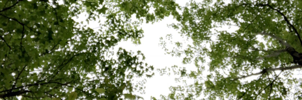 epshemwell13's profile banner image