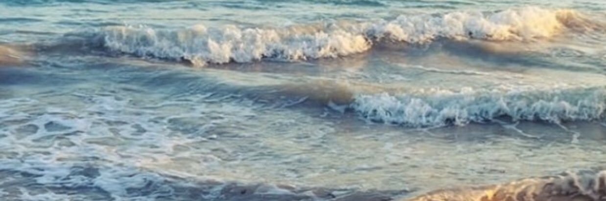 addison_raylee's profile banner image