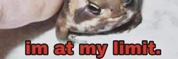 Rachfaace's profile banner image