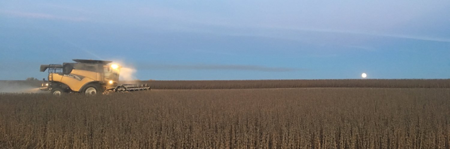g__strube's profile banner image