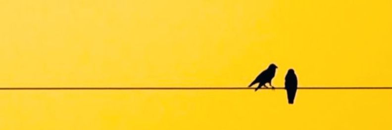 ZairaAzhar's profile banner image