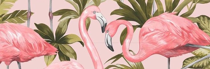 Paofacholi's profile banner image