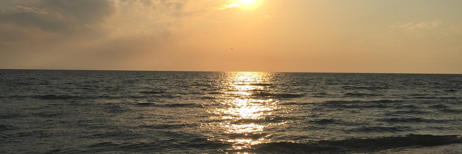 queenofthecrt's profile banner image