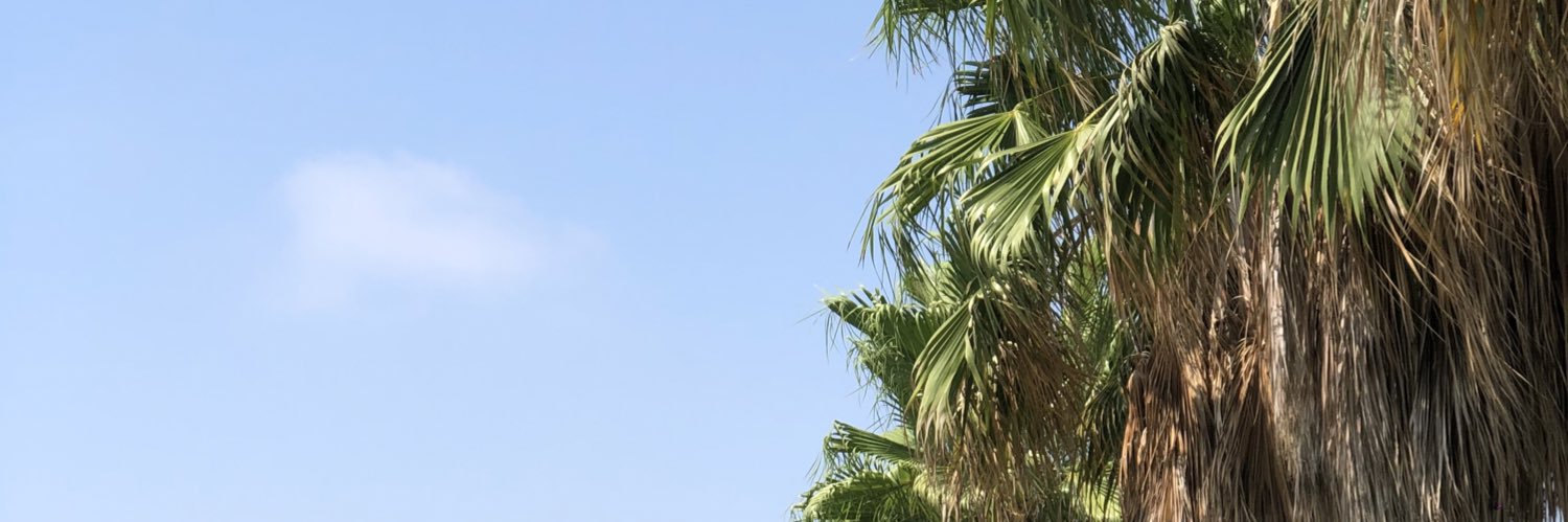 aleeekiz's profile banner image
