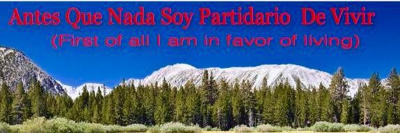 suavedos's profile banner image