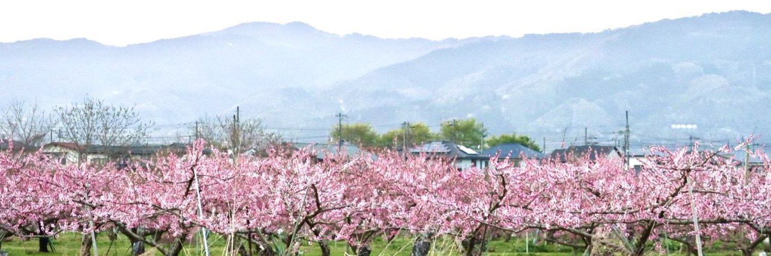 JCP福島 瀬上支部 #比例は日本共産党's banner