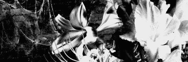 sslfishmachines Profile Banner
