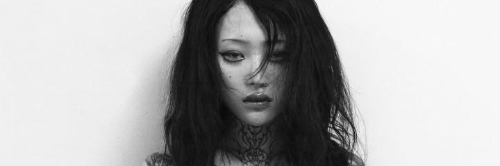 Dev ✧ Fan Account banner