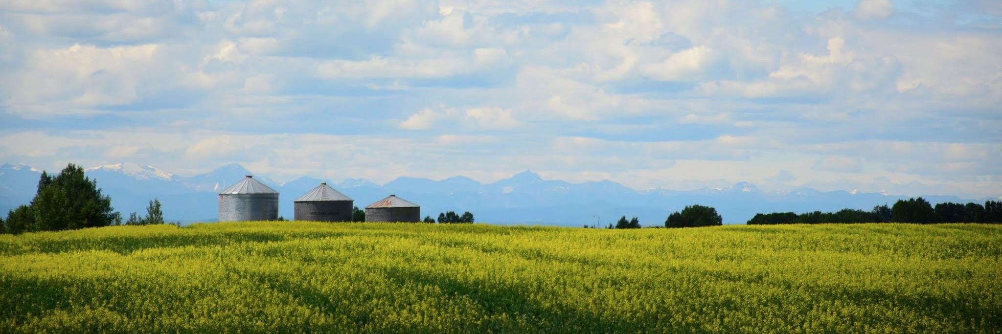 Alberta Beers banner