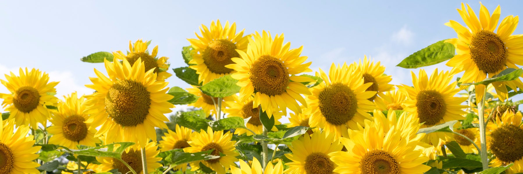 95645grs's profile banner image